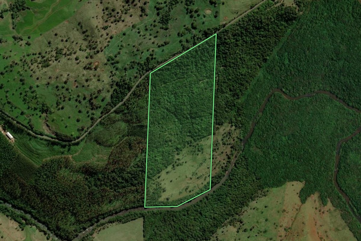 Imagem de satélite do imóvel rural em Ouro Verde do Oeste (PR), com o contorno declarado no CAR desenhado por cima.