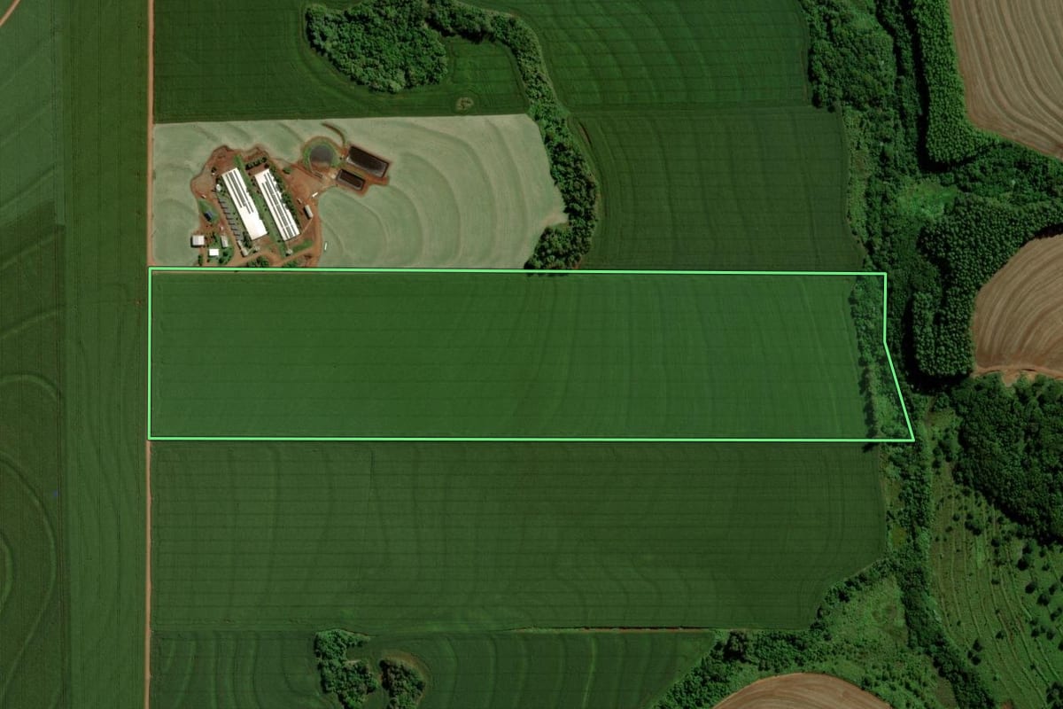 Imagem de satélite do imóvel rural em Ouro Verde do Oeste (PR), com o contorno declarado no CAR desenhado por cima.