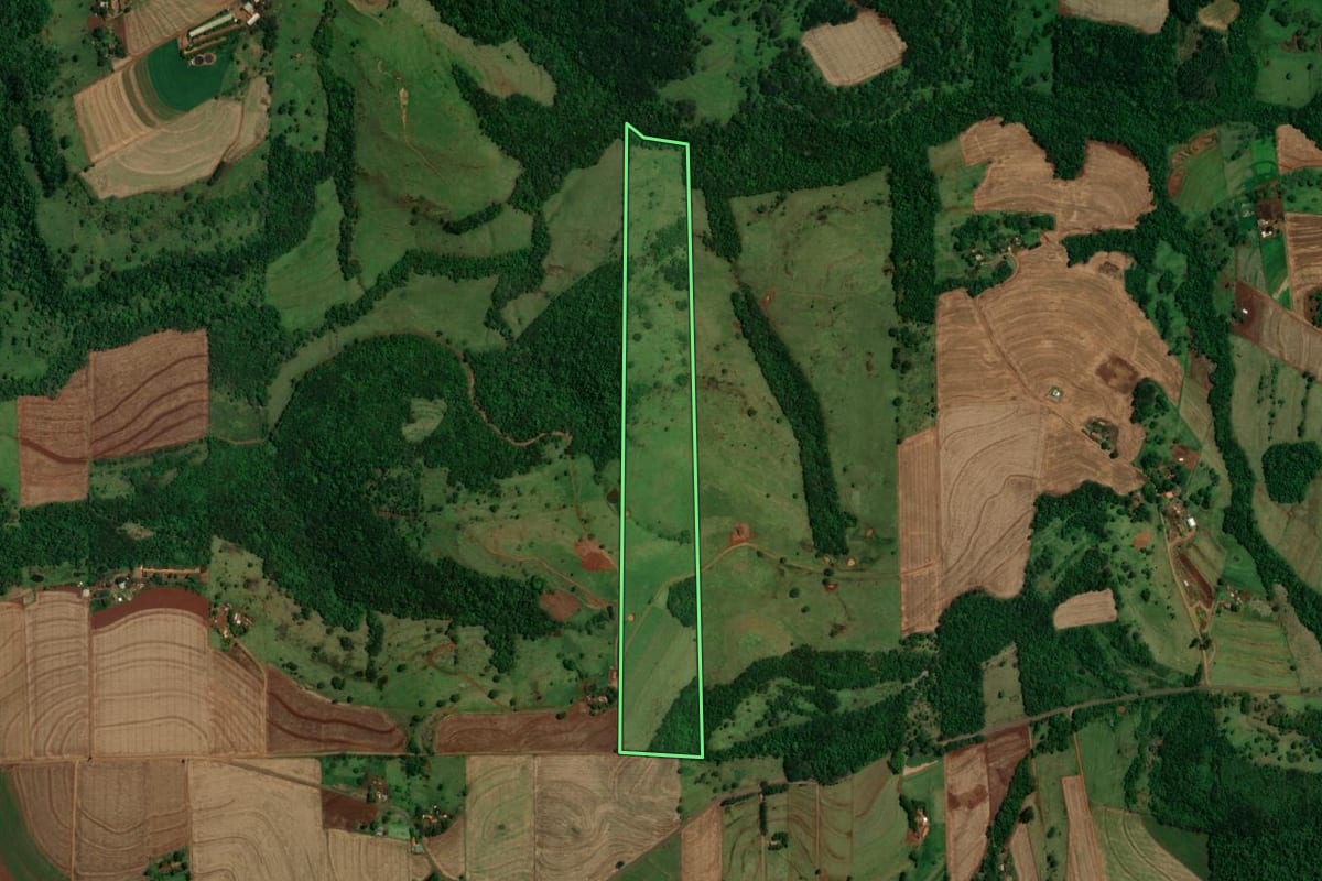 Imagem de satélite do imóvel rural em Ouro Verde do Oeste (PR), com o contorno declarado no CAR desenhado por cima.