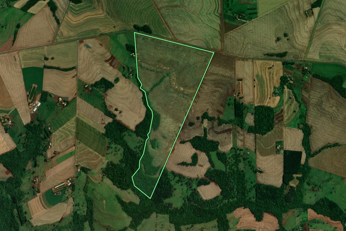 Imagem de satélite do imóvel rural em Ouro Verde do Oeste (PR), com o contorno declarado no CAR desenhado por cima.