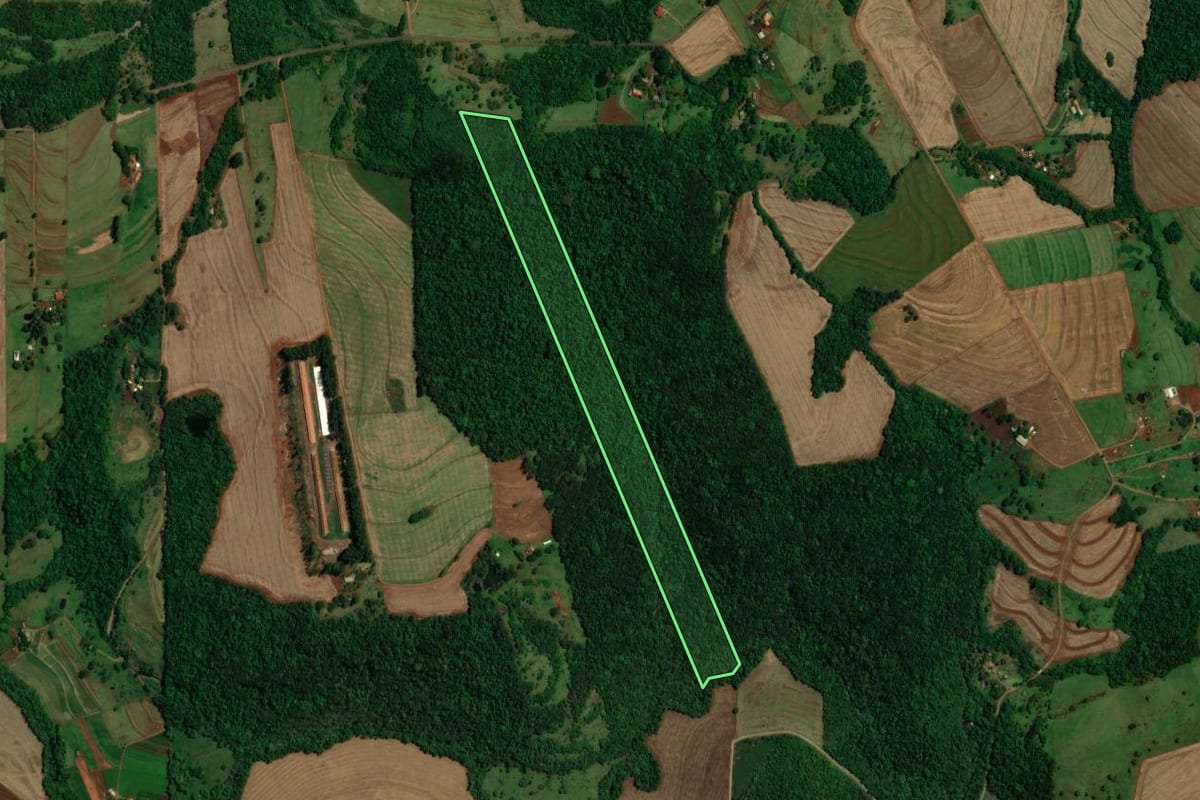 Imagem de satélite do imóvel rural em Ouro Verde do Oeste (PR), com o contorno declarado no CAR desenhado por cima.