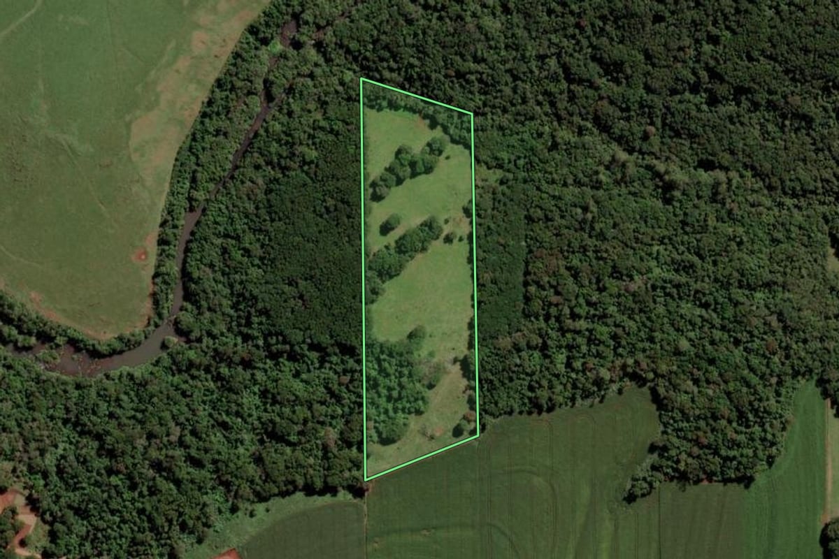 Imagem de satélite do imóvel rural em Ouro Verde do Oeste (PR), com o contorno declarado no CAR desenhado por cima.