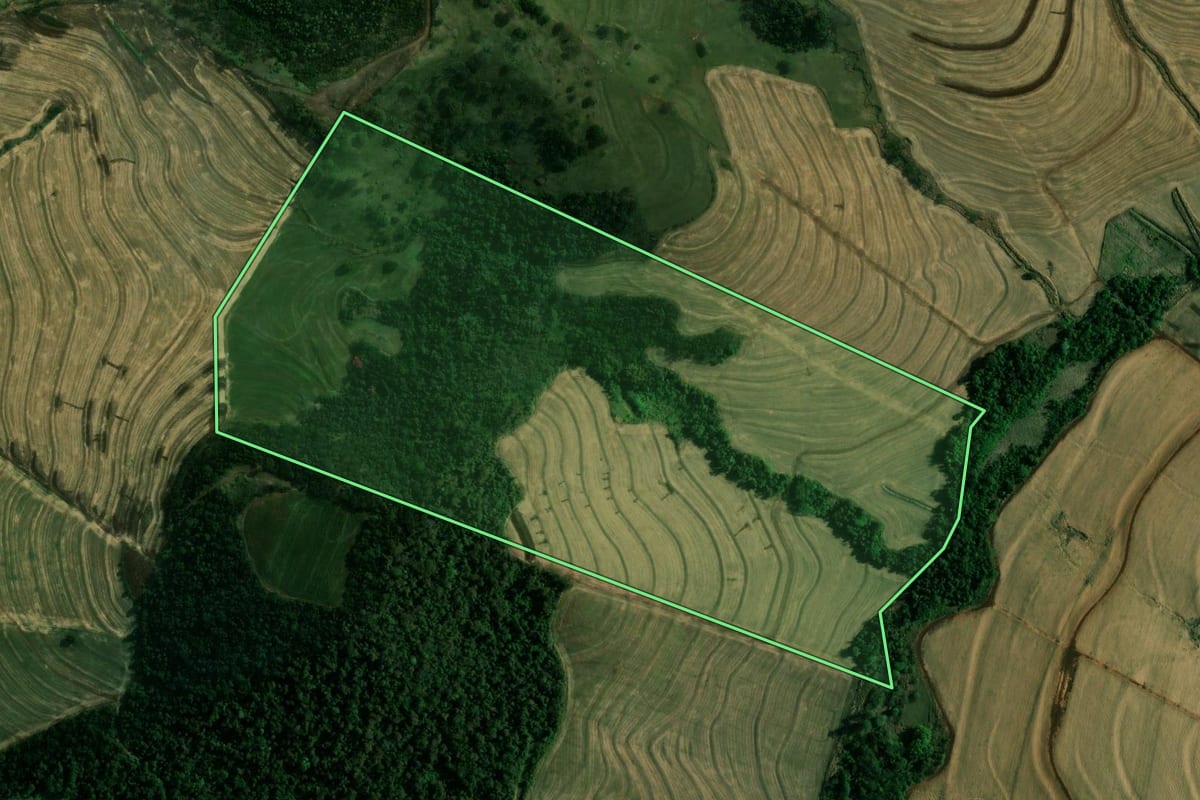 Imagem de satélite do imóvel rural em Paiçandu (PR), com o contorno declarado no CAR desenhado por cima.