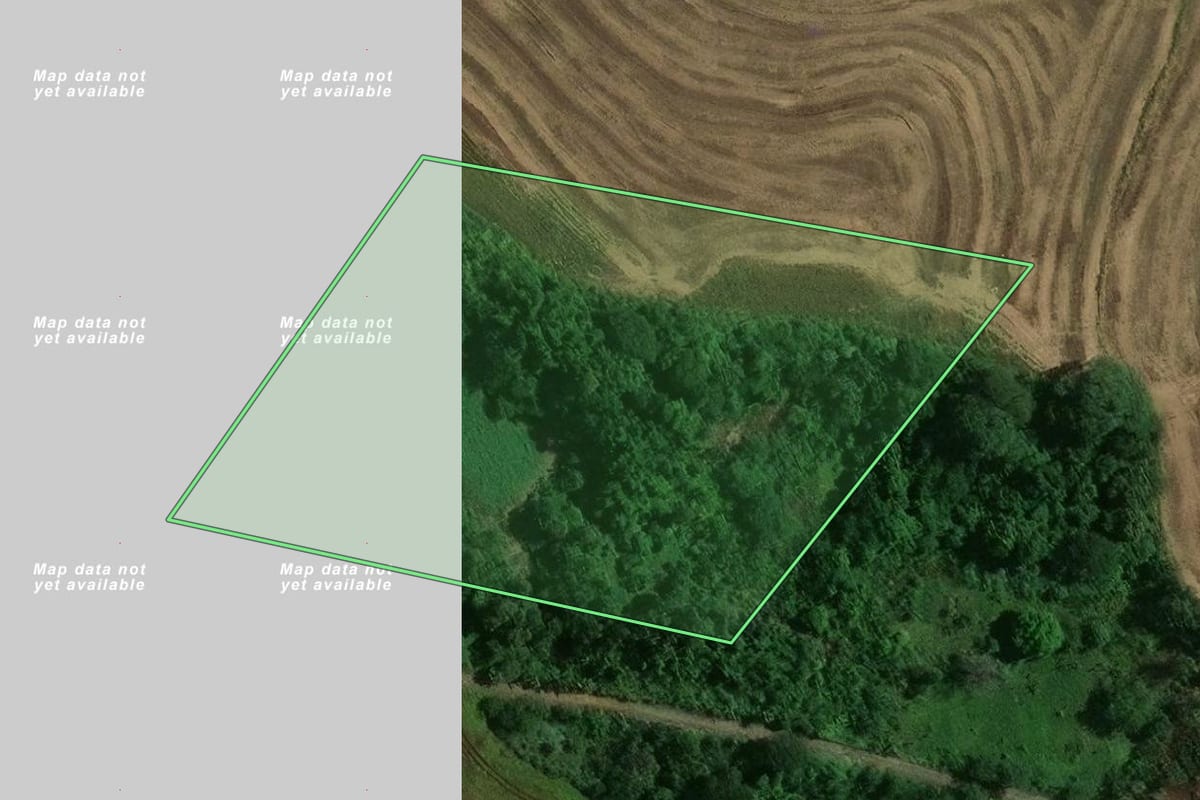 Imagem de satélite do imóvel rural em Paiçandu (PR), com o contorno declarado no CAR desenhado por cima.