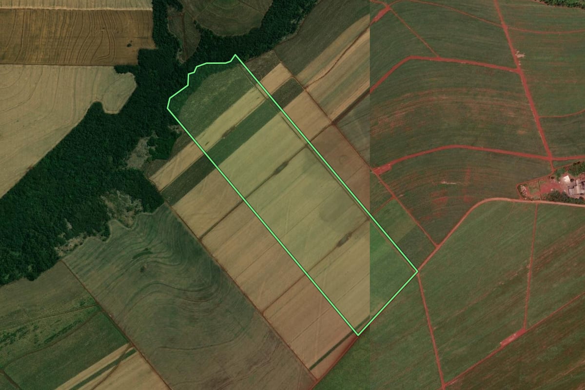 Imagem de satélite do imóvel rural em Paiçandu (PR), com o contorno declarado no CAR desenhado por cima.
