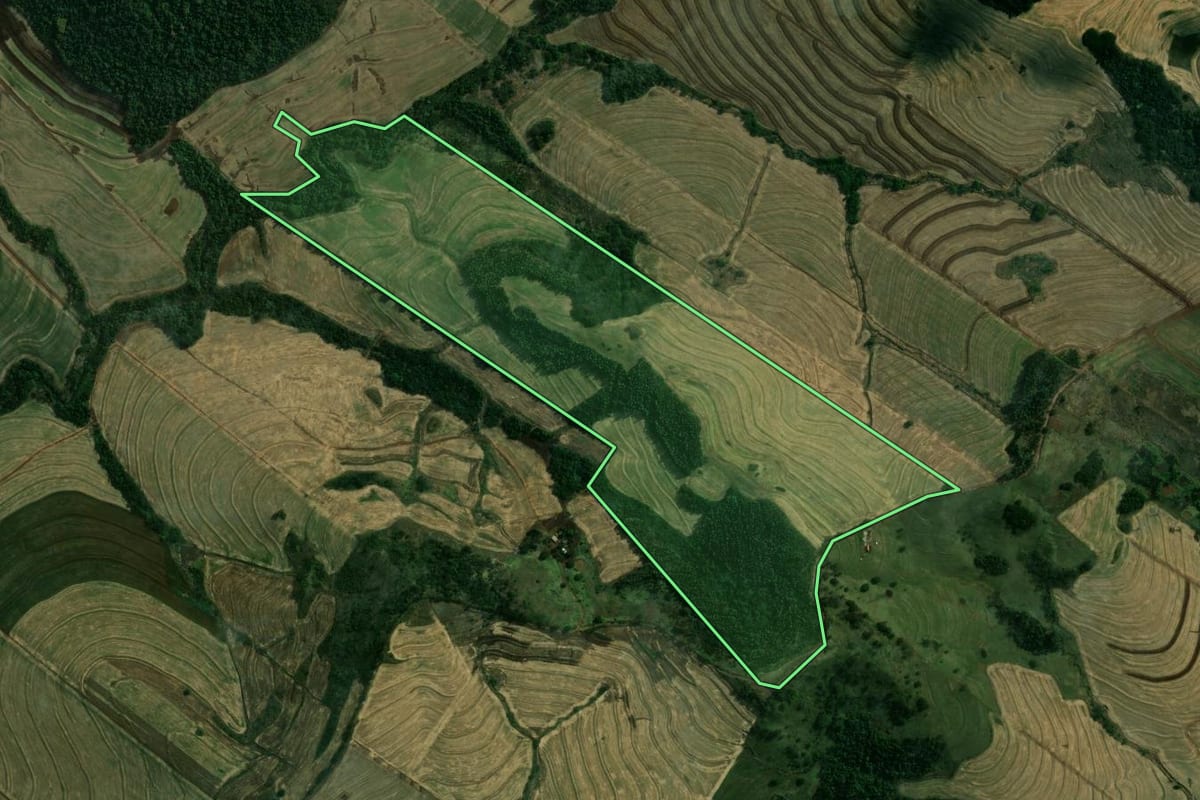 Imagem de satélite do imóvel rural em Paiçandu (PR), com o contorno declarado no CAR desenhado por cima.