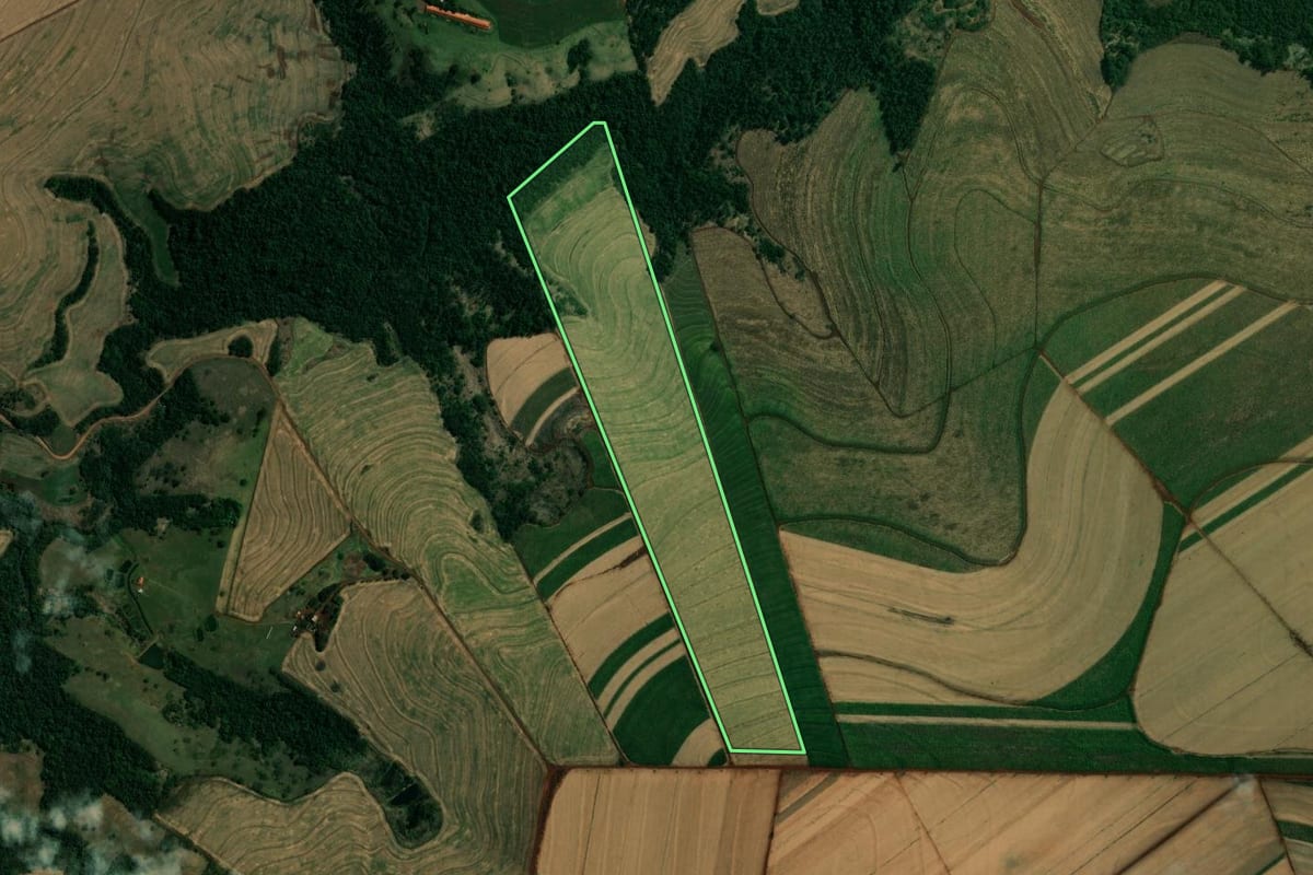 Imagem de satélite do imóvel rural em Paiçandu (PR), com o contorno declarado no CAR desenhado por cima.