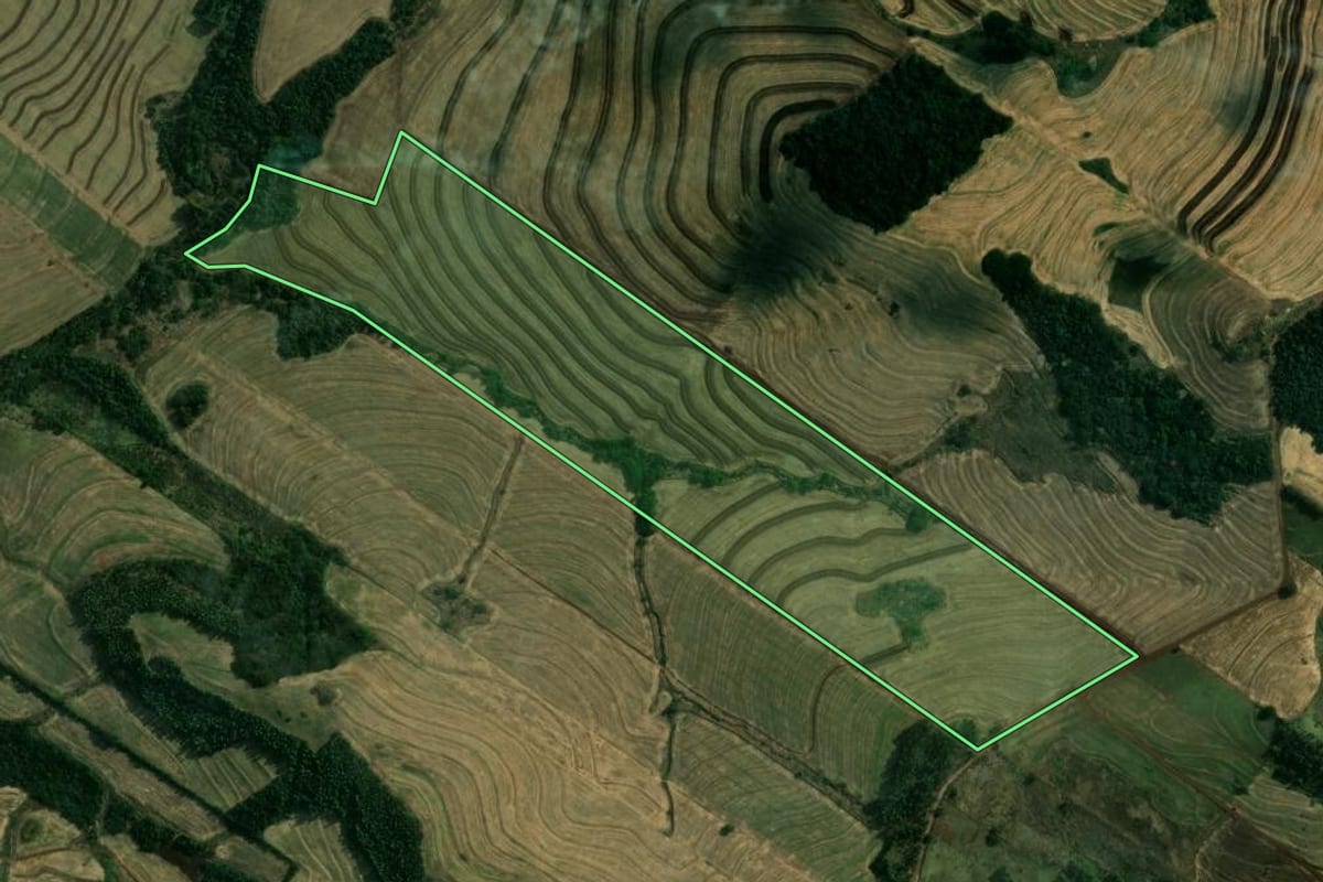 Imagem de satélite do imóvel rural em Paiçandu (PR), com o contorno declarado no CAR desenhado por cima.