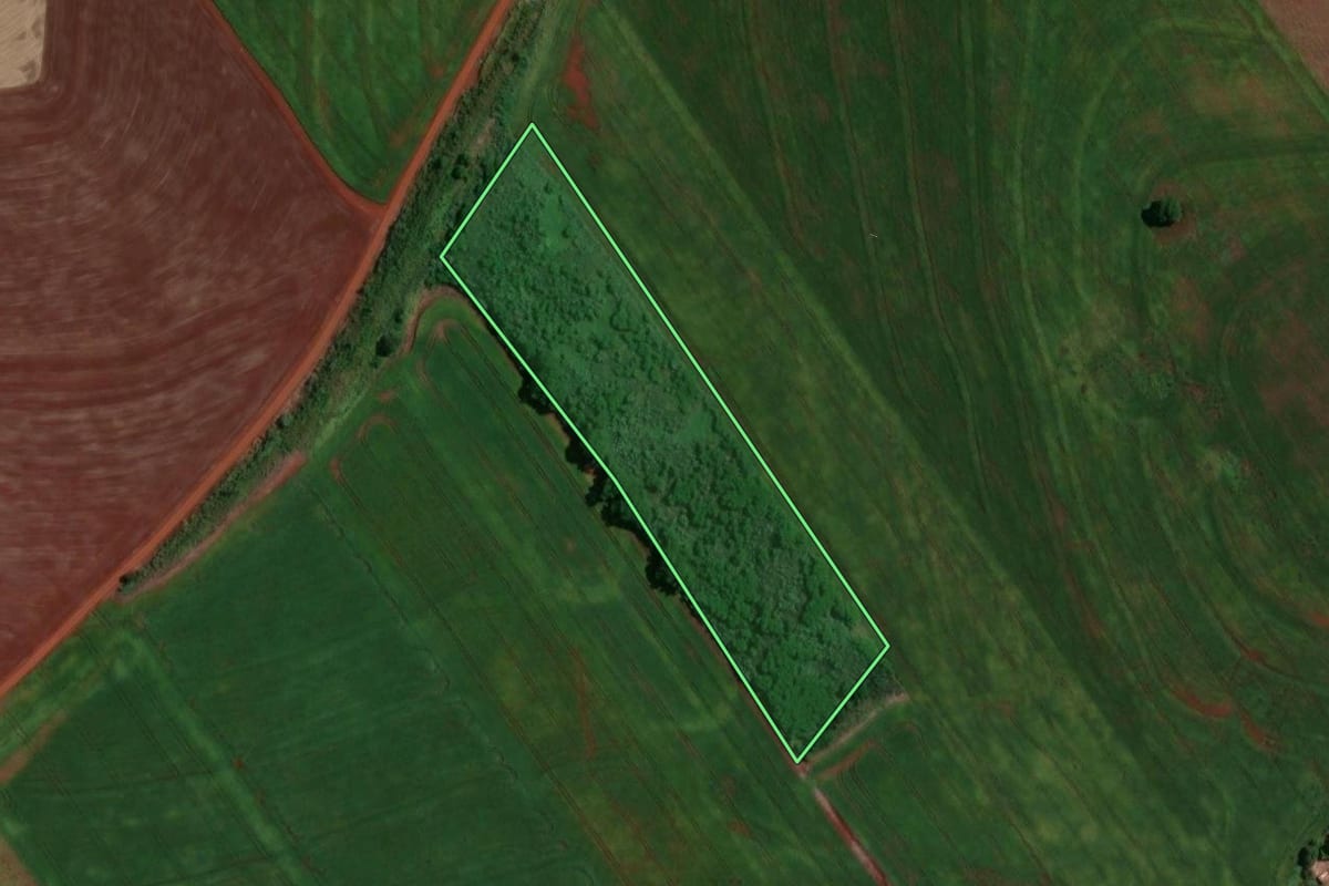 Imagem de satélite do imóvel rural em Paiçandu (PR), com o contorno declarado no CAR desenhado por cima.