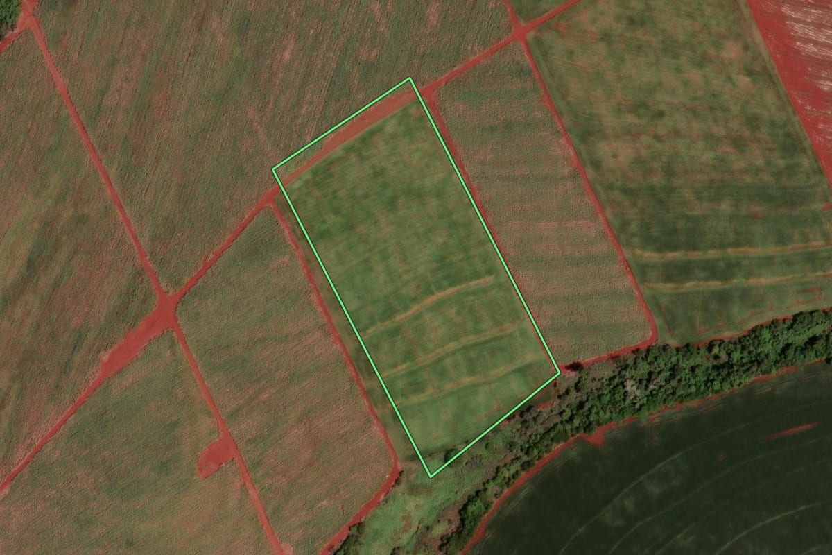 Imagem de satélite do imóvel rural em Paiçandu (PR), com o contorno declarado no CAR desenhado por cima.