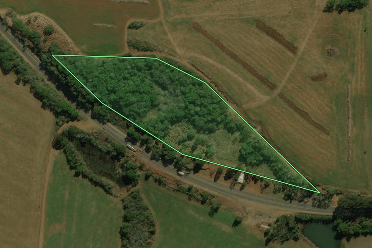 Imagem de satélite do imóvel rural em Palmas (PR), com o contorno declarado no CAR desenhado por cima.