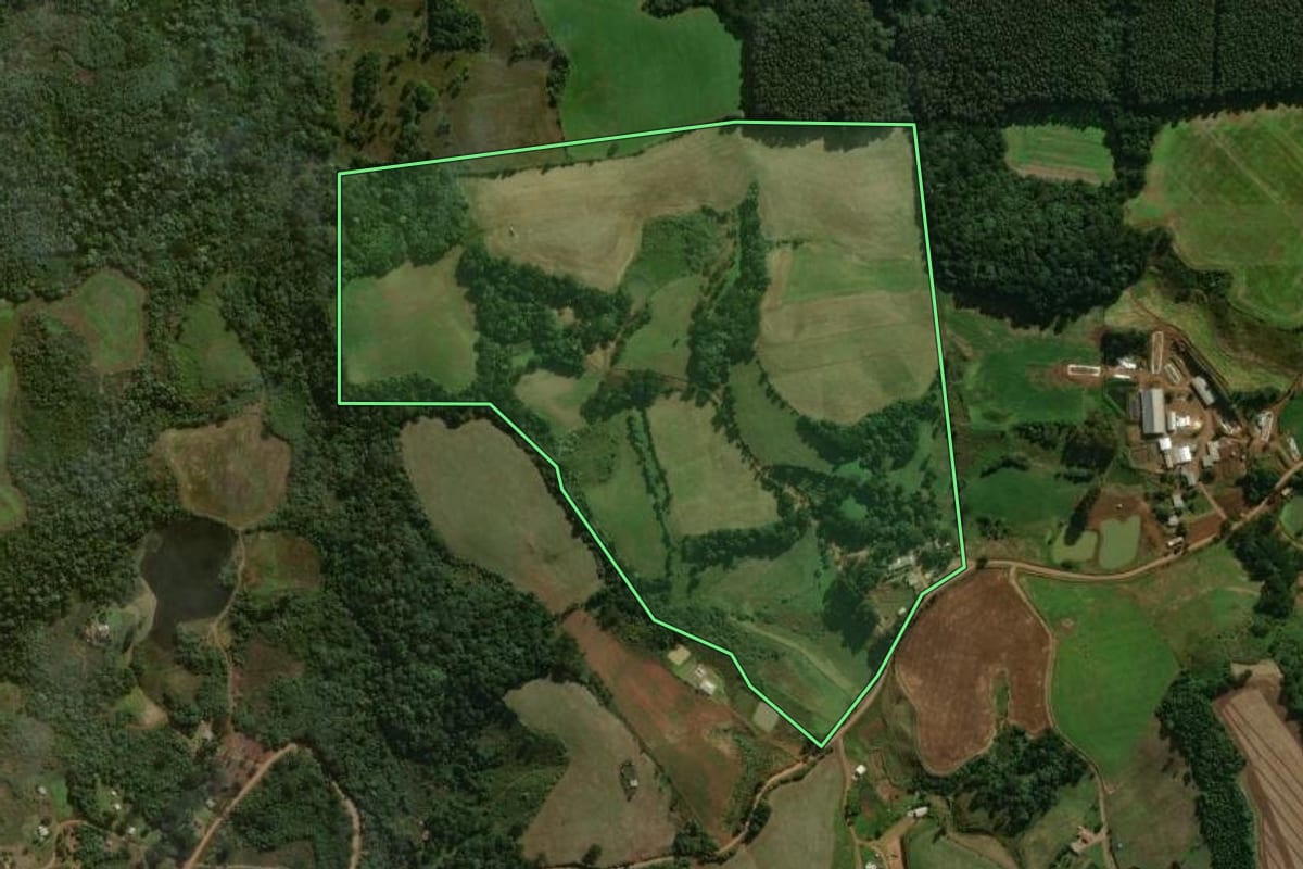 Imagem de satélite do imóvel rural em Palmas (PR), com o contorno declarado no CAR desenhado por cima.