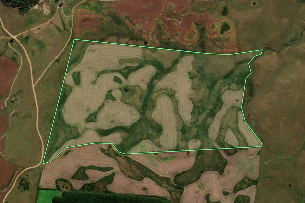 Imagem de satélite do imóvel rural em Palmas (PR), com o contorno declarado no CAR desenhado por cima.