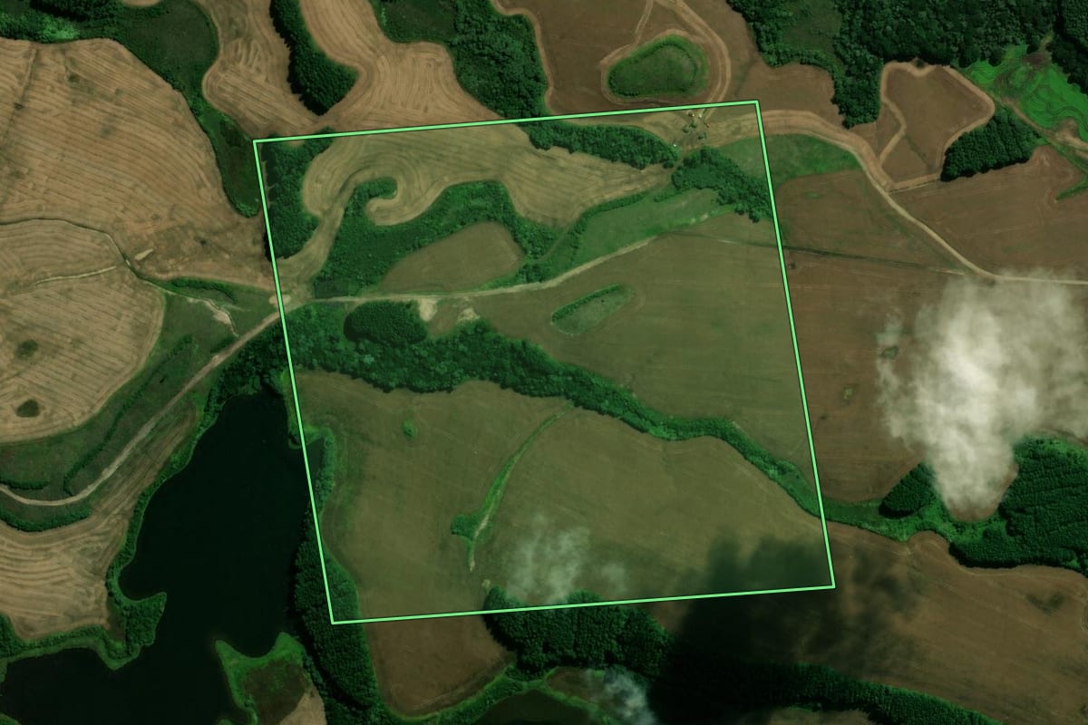 Imagem de satélite do imóvel rural em Palmas (PR), com o contorno declarado no CAR desenhado por cima.