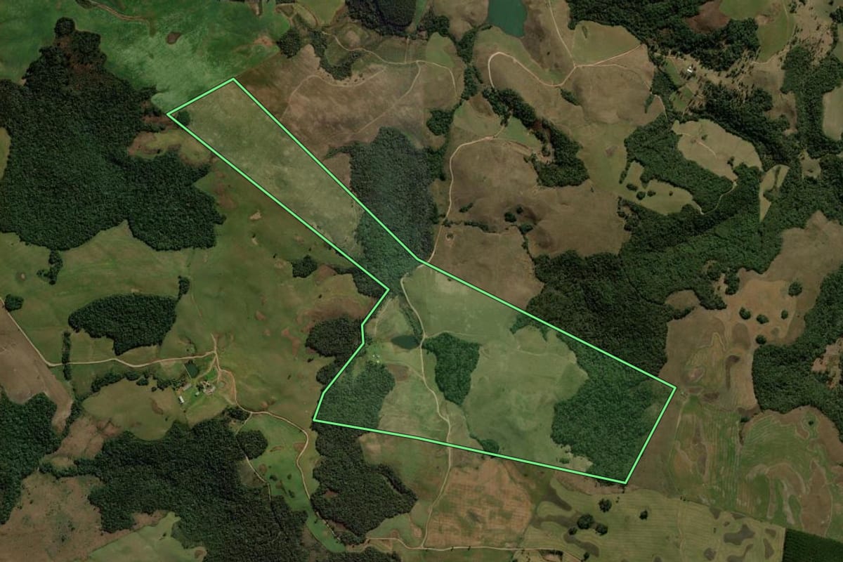 Imagem de satélite do imóvel rural em Palmas (PR), com o contorno declarado no CAR desenhado por cima.
