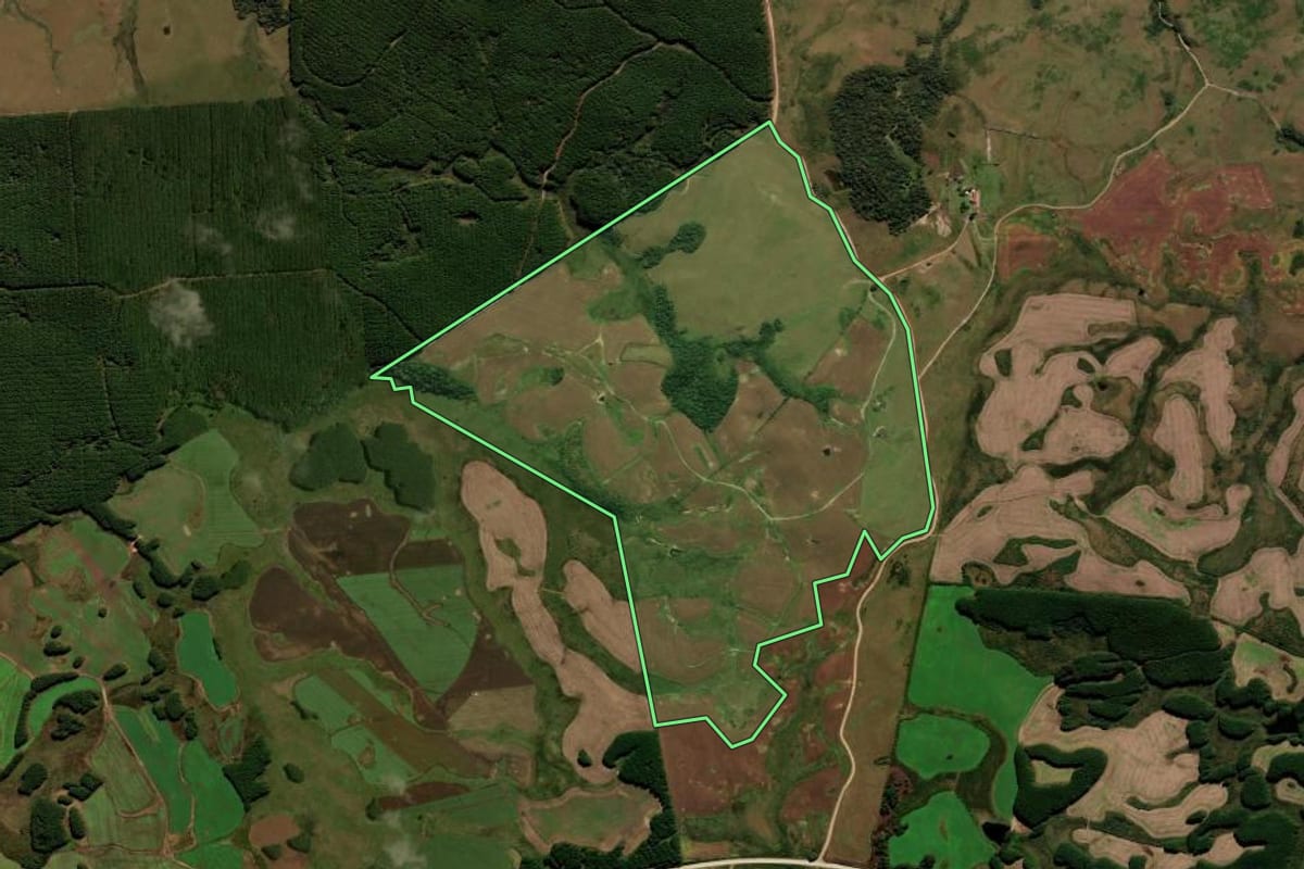 Imagem de satélite do imóvel rural em Palmas (PR), com o contorno declarado no CAR desenhado por cima.