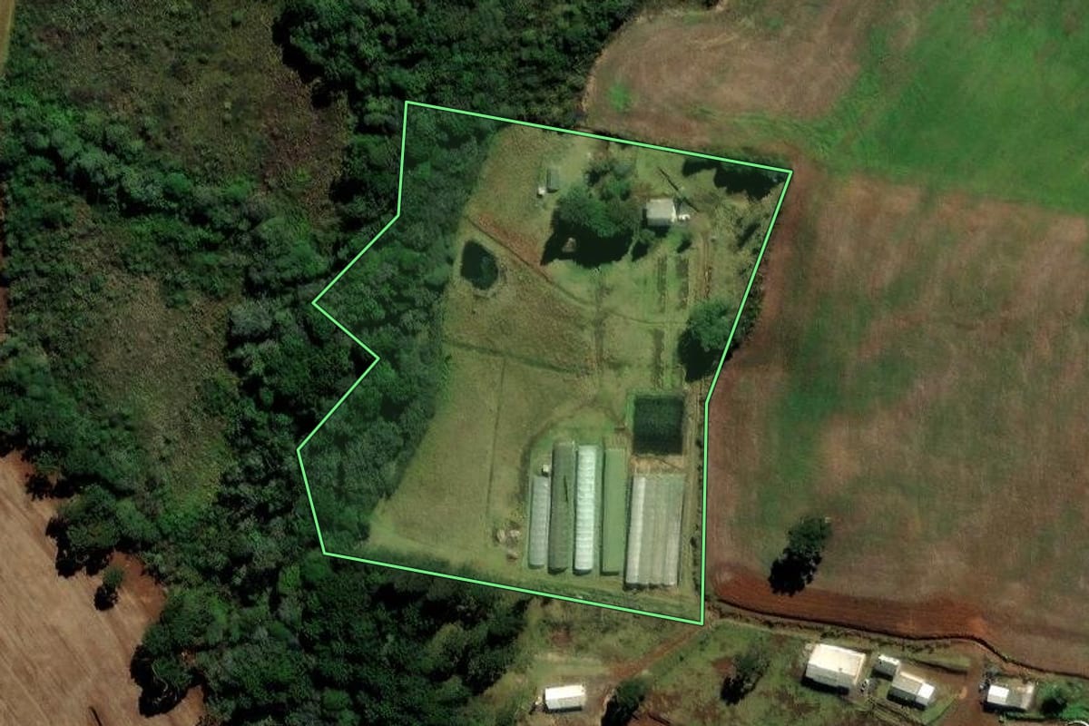 Imagem de satélite do imóvel rural em Palmas (PR), com o contorno declarado no CAR desenhado por cima.