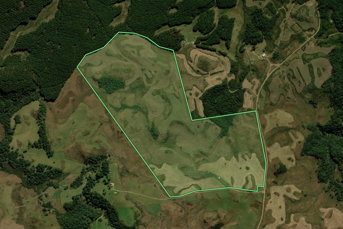 Imagem de satélite do imóvel rural em Palmas (PR), com o contorno declarado no CAR desenhado por cima.