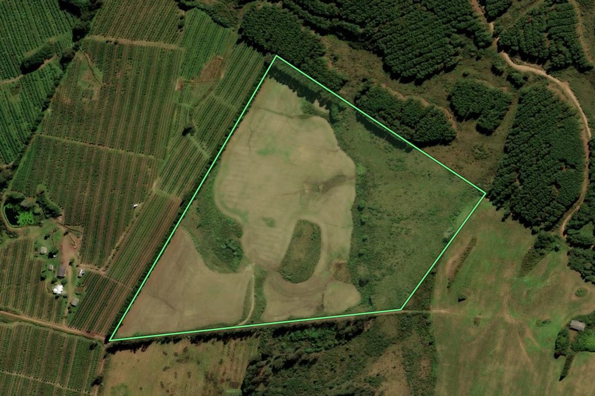 Imagem de satélite do imóvel rural em Palmas (PR), com o contorno declarado no CAR desenhado por cima.