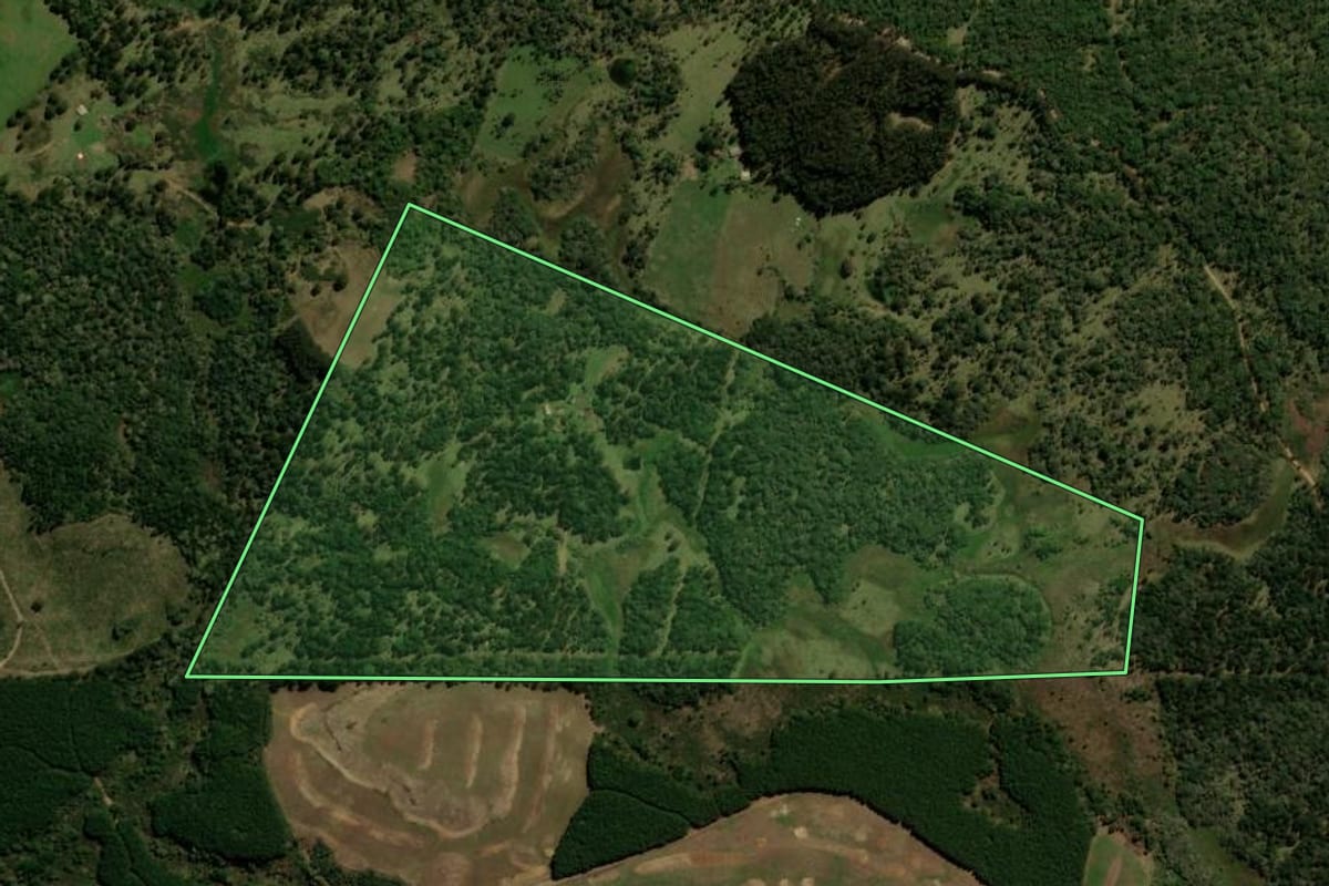 Imagem de satélite do imóvel rural em Palmas (PR), com o contorno declarado no CAR desenhado por cima.