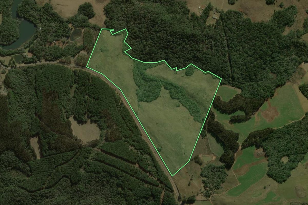 Imagem de satélite do imóvel rural em Palmas (PR), com o contorno declarado no CAR desenhado por cima.