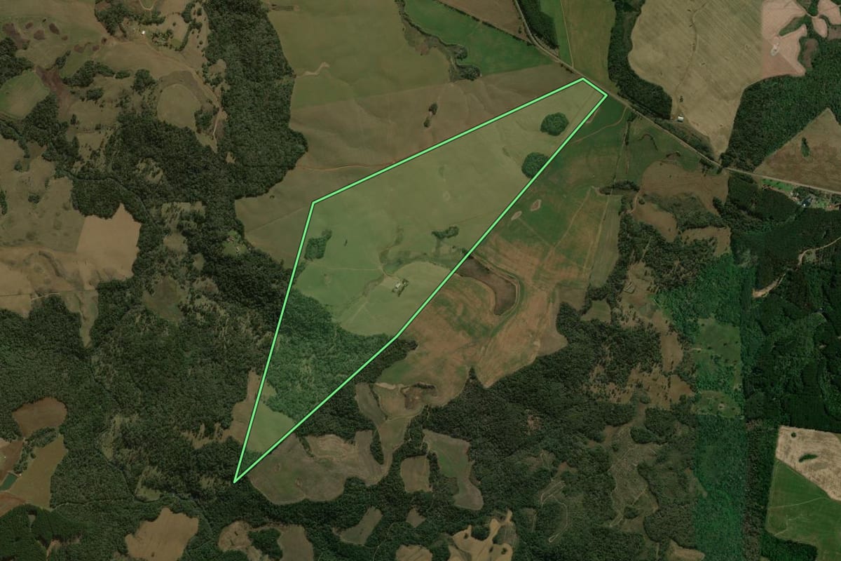 Imagem de satélite do imóvel rural em Palmas (PR), com o contorno declarado no CAR desenhado por cima.