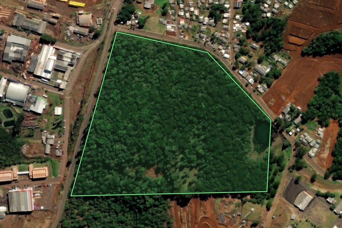 Imagem de satélite do imóvel rural em Palmas (PR), com o contorno declarado no CAR desenhado por cima.