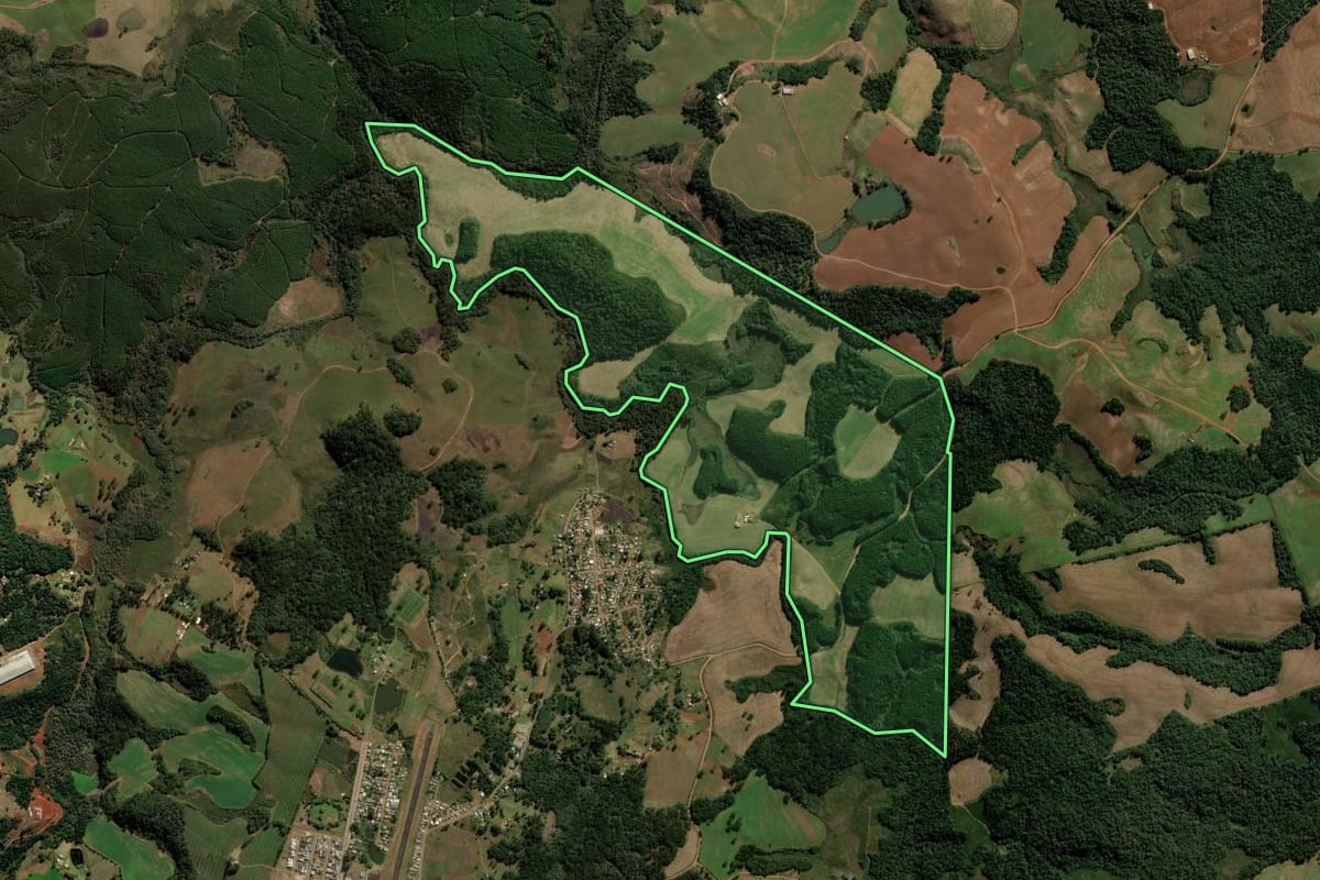 Imagem de satélite do imóvel rural em Palmas (PR), com o contorno declarado no CAR desenhado por cima.