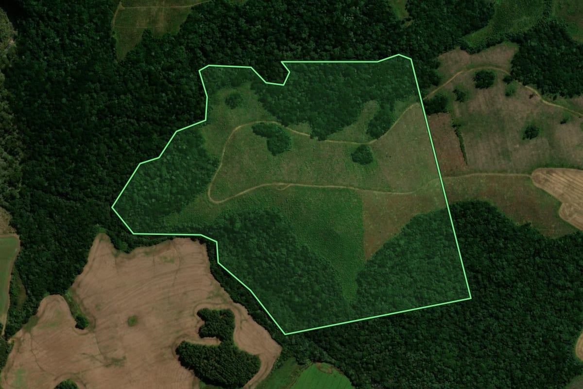 Imagem de satélite do imóvel rural em Palmas (PR), com o contorno declarado no CAR desenhado por cima.