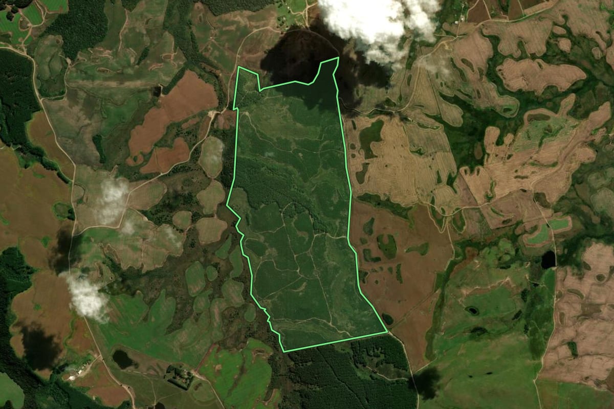 Imagem de satélite do imóvel rural em Palmas (PR), com o contorno declarado no CAR desenhado por cima.