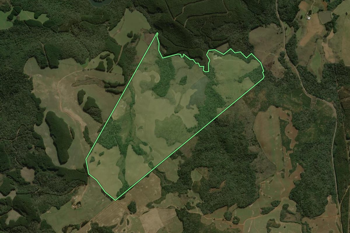Imagem de satélite do imóvel rural em Palmas (PR), com o contorno declarado no CAR desenhado por cima.