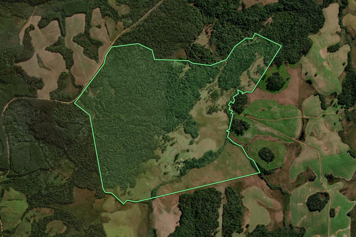 Imagem de satélite do imóvel rural em Palmas (PR), com o contorno declarado no CAR desenhado por cima.