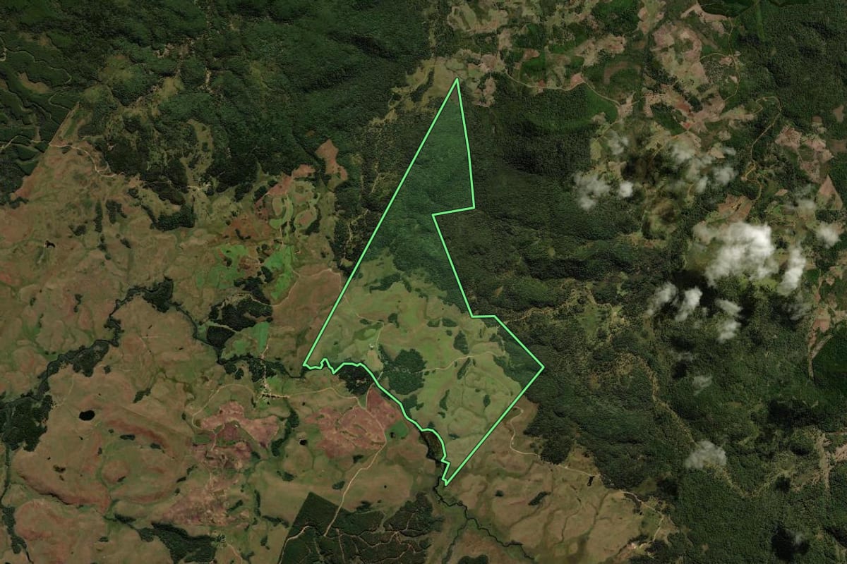 Imagem de satélite do imóvel rural em Palmas (PR), com o contorno declarado no CAR desenhado por cima.