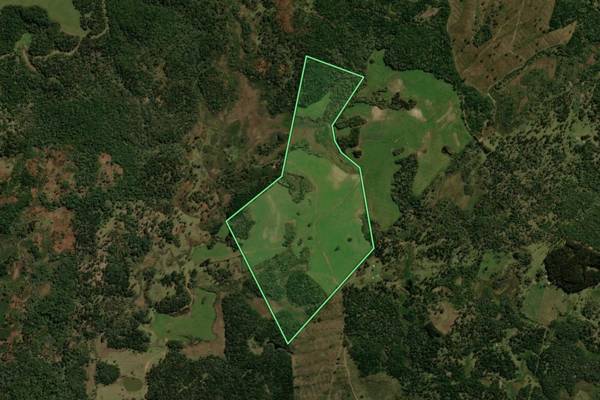 Imagem de satélite do imóvel rural em Palmas (PR), com o contorno declarado no CAR desenhado por cima.