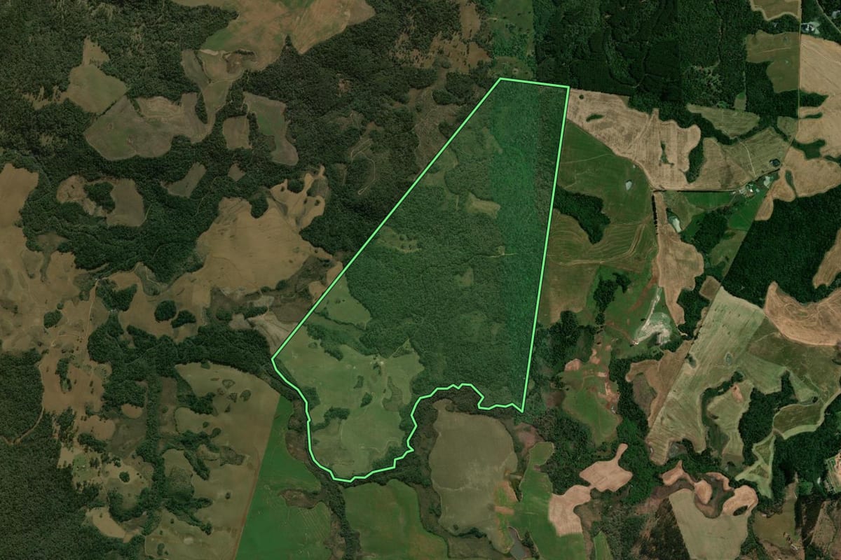 Imagem de satélite do imóvel rural em Palmas (PR), com o contorno declarado no CAR desenhado por cima.