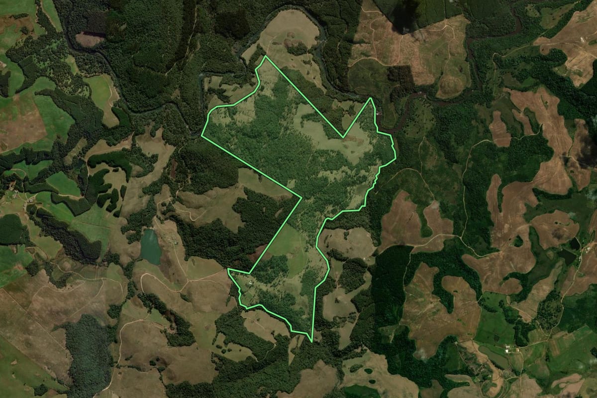 Imagem de satélite do imóvel rural em Palmas (PR), com o contorno declarado no CAR desenhado por cima.