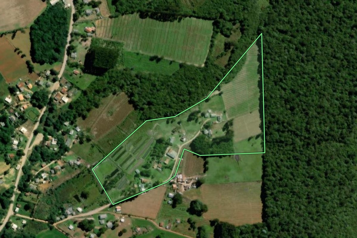 Imagem de satélite do imóvel rural em Palmeira (PR), com o contorno declarado no CAR desenhado por cima.