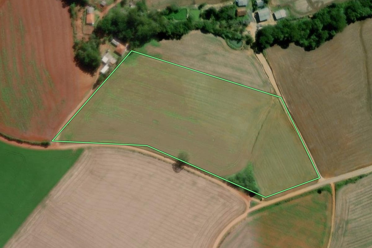 Imagem de satélite do imóvel rural em Palmeira (PR), com o contorno declarado no CAR desenhado por cima.