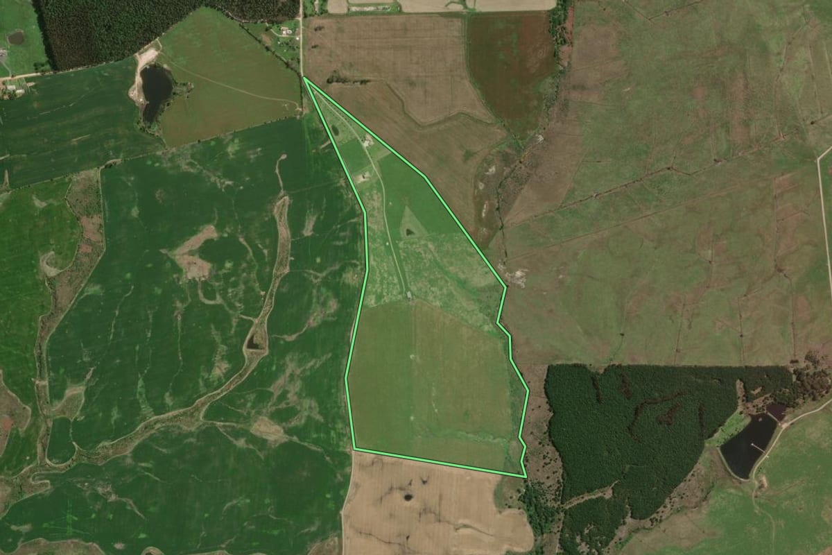 Imagem de satélite do imóvel rural em Palmeira (PR), com o contorno declarado no CAR desenhado por cima.