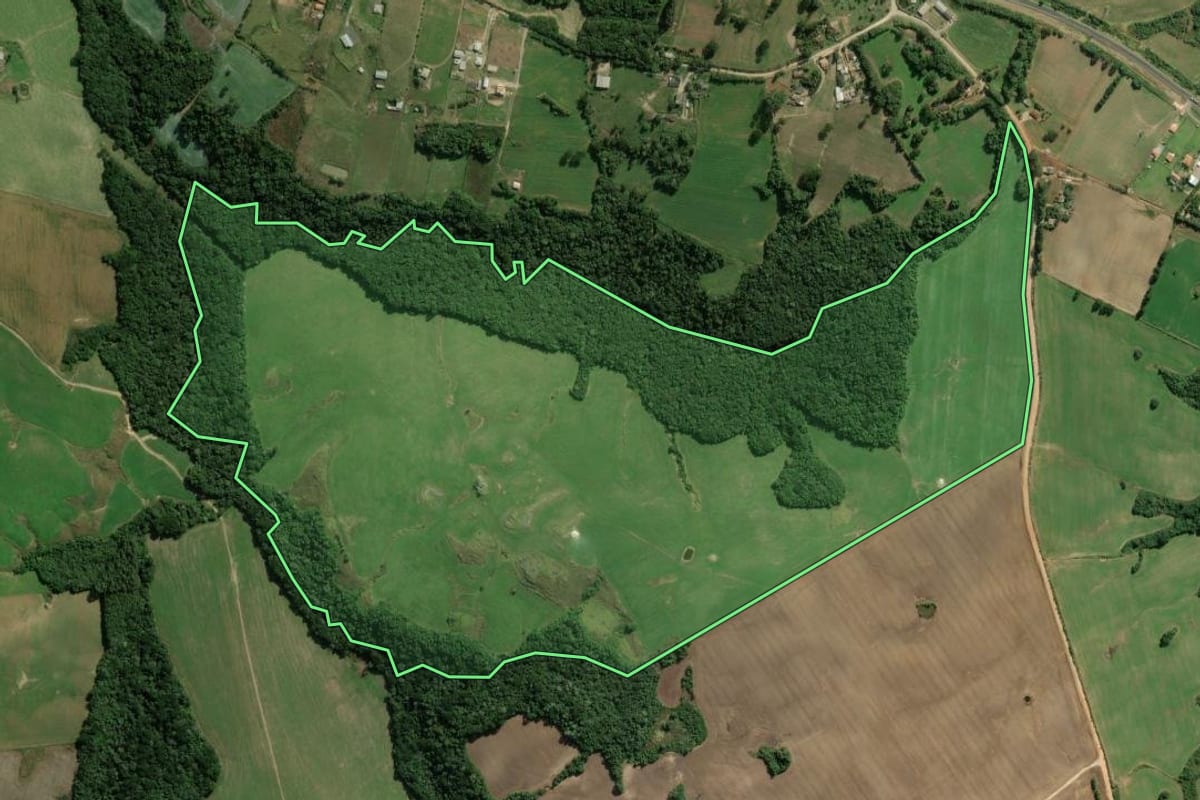Imagem de satélite do imóvel rural em Palmeira (PR), com o contorno declarado no CAR desenhado por cima.