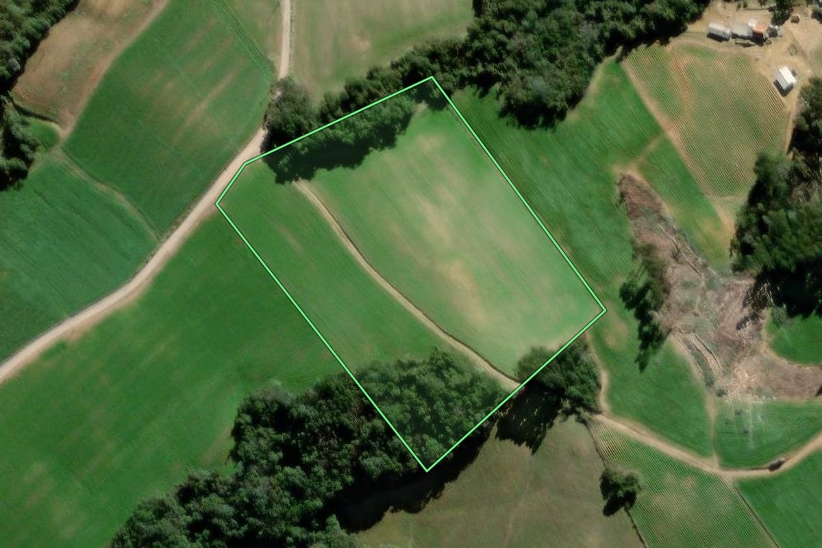Imagem de satélite do imóvel rural em Palmeira (PR), com o contorno declarado no CAR desenhado por cima.