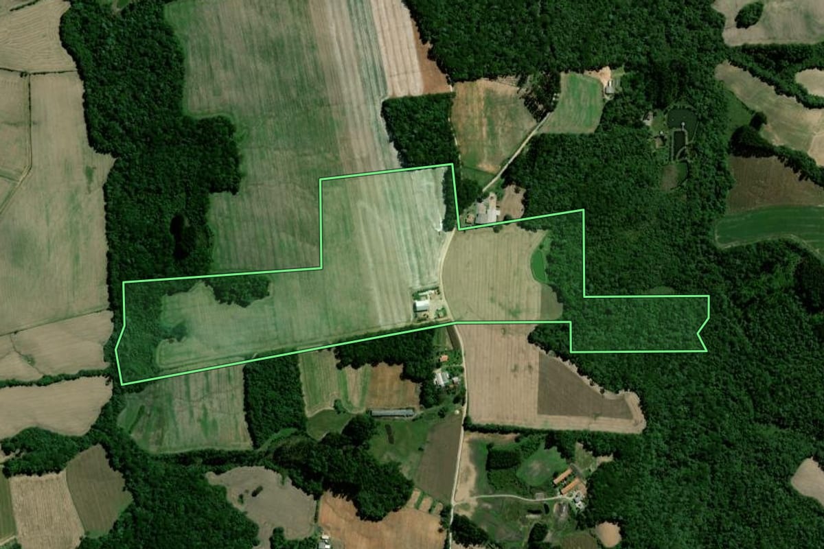 Imagem de satélite do imóvel rural em Palmeira (PR), com o contorno declarado no CAR desenhado por cima.