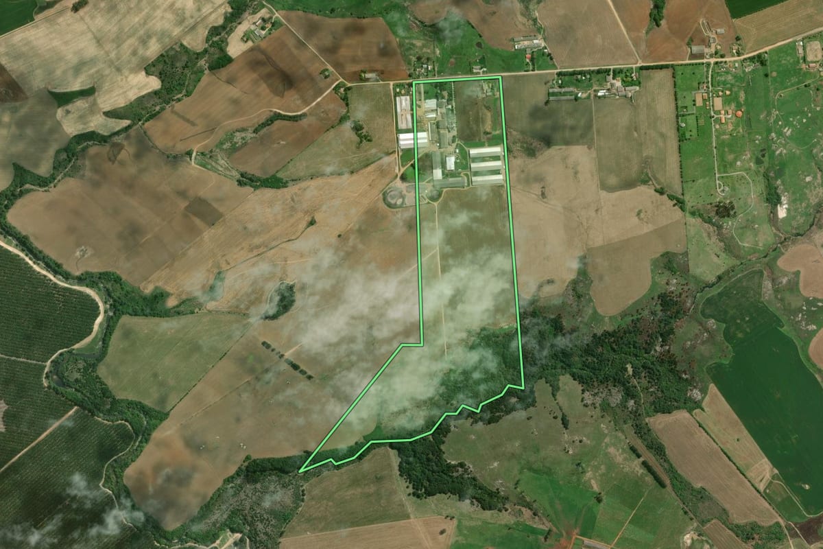Imagem de satélite do imóvel rural em Palmeira (PR), com o contorno declarado no CAR desenhado por cima.