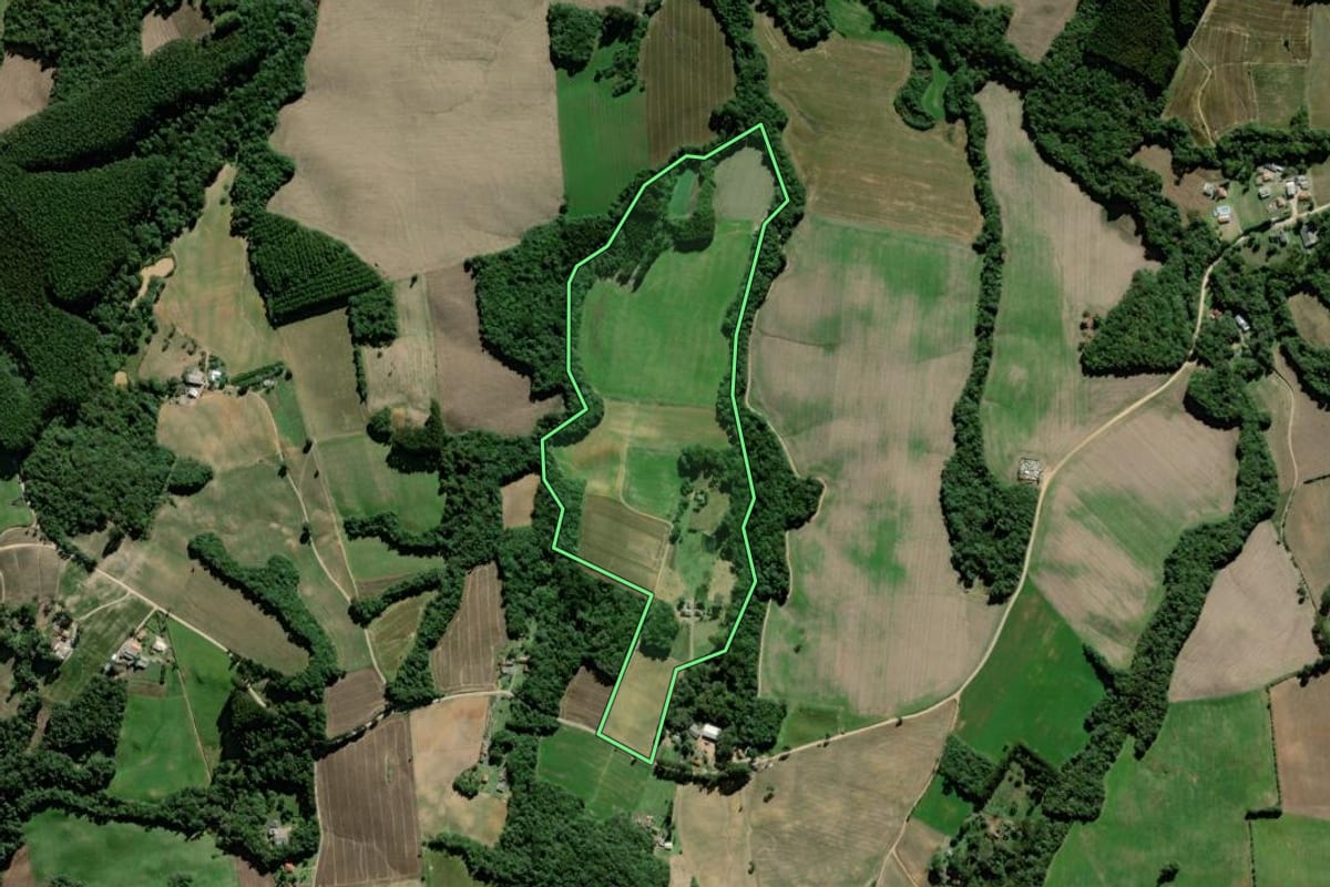 Imagem de satélite do imóvel rural em Palmeira (PR), com o contorno declarado no CAR desenhado por cima.