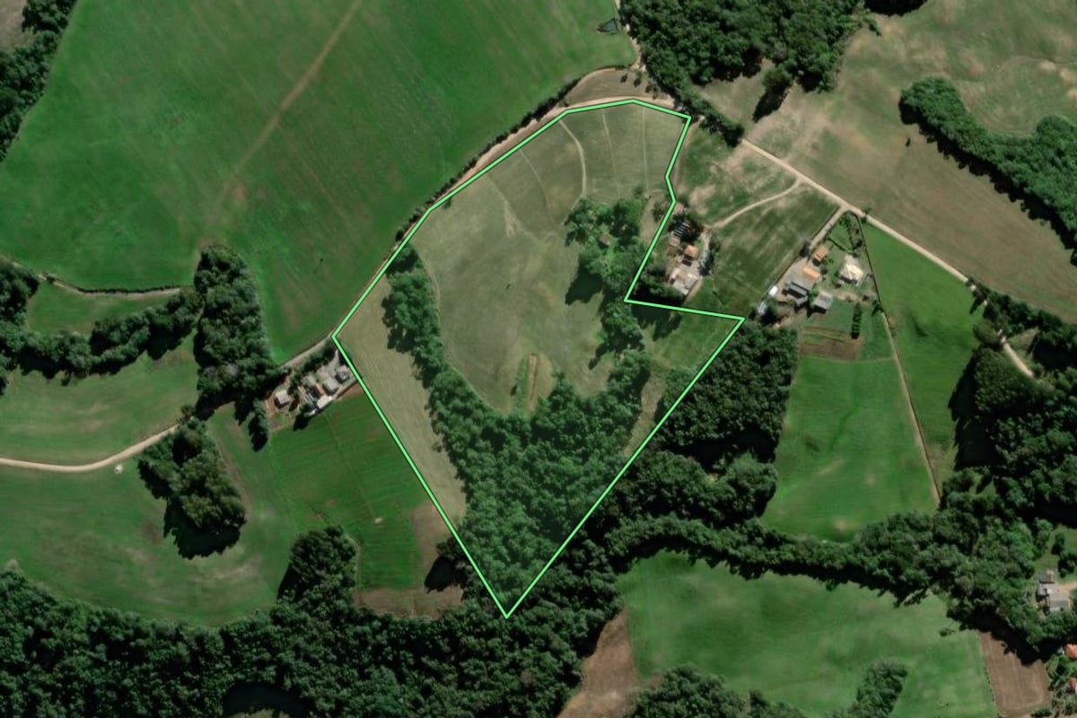 Imagem de satélite do imóvel rural em Palmeira (PR), com o contorno declarado no CAR desenhado por cima.