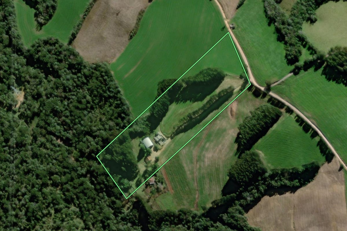 Imagem de satélite do imóvel rural em Palmeira (PR), com o contorno declarado no CAR desenhado por cima.