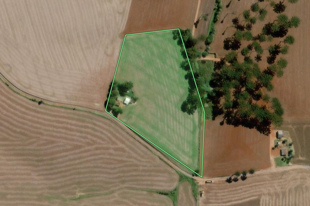 Imagem de satélite do imóvel rural em Palmeira (PR), com o contorno declarado no CAR desenhado por cima.