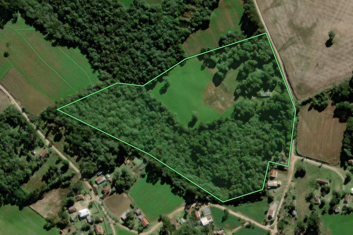 Imagem de satélite do imóvel rural em Palmeira (PR), com o contorno declarado no CAR desenhado por cima.