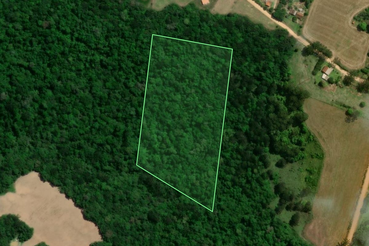 Imagem de satélite do imóvel rural em Palmeira (PR), com o contorno declarado no CAR desenhado por cima.