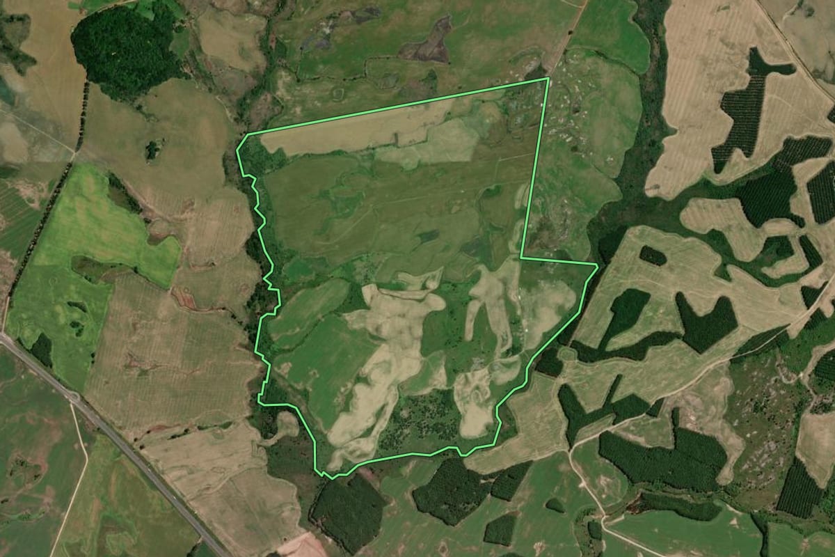 Imagem de satélite do imóvel rural em Palmeira (PR), com o contorno declarado no CAR desenhado por cima.